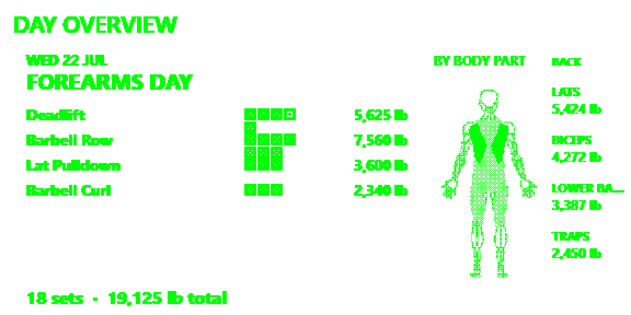 The TEMPO glasses screen DAY OVERVIEW for Wednesday 22 July, Forearms Day: Deadlift, Barbell Row, Lat Pulldown and Barbell Curl with their volumes, the volume by body part beside the anatomy figure, and 18 sets, 19,125 lb total.